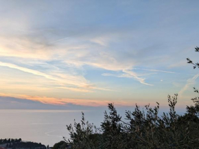 Anemar Lefkada
